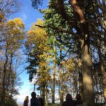 Wildniskids -  im wilden Jahreskreis!
