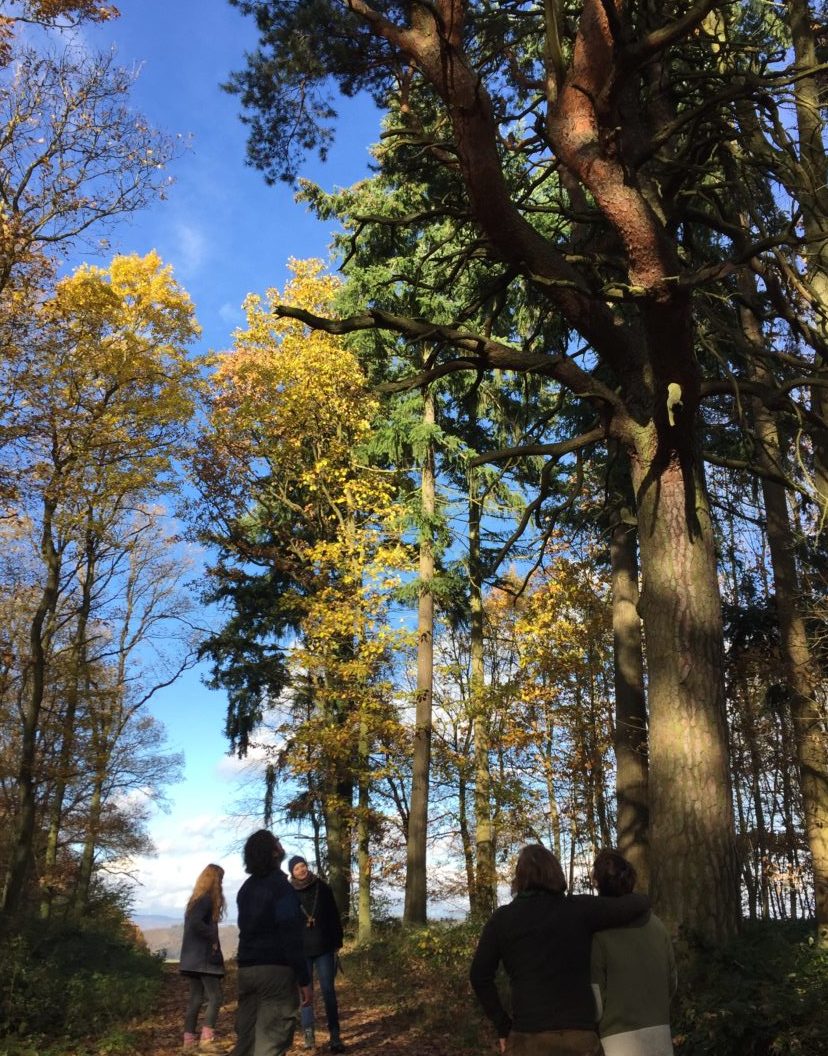 Wildniskids -  im wilden Jahreskreis!