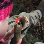 Wildniskids -  im wilden Jahreskreis!