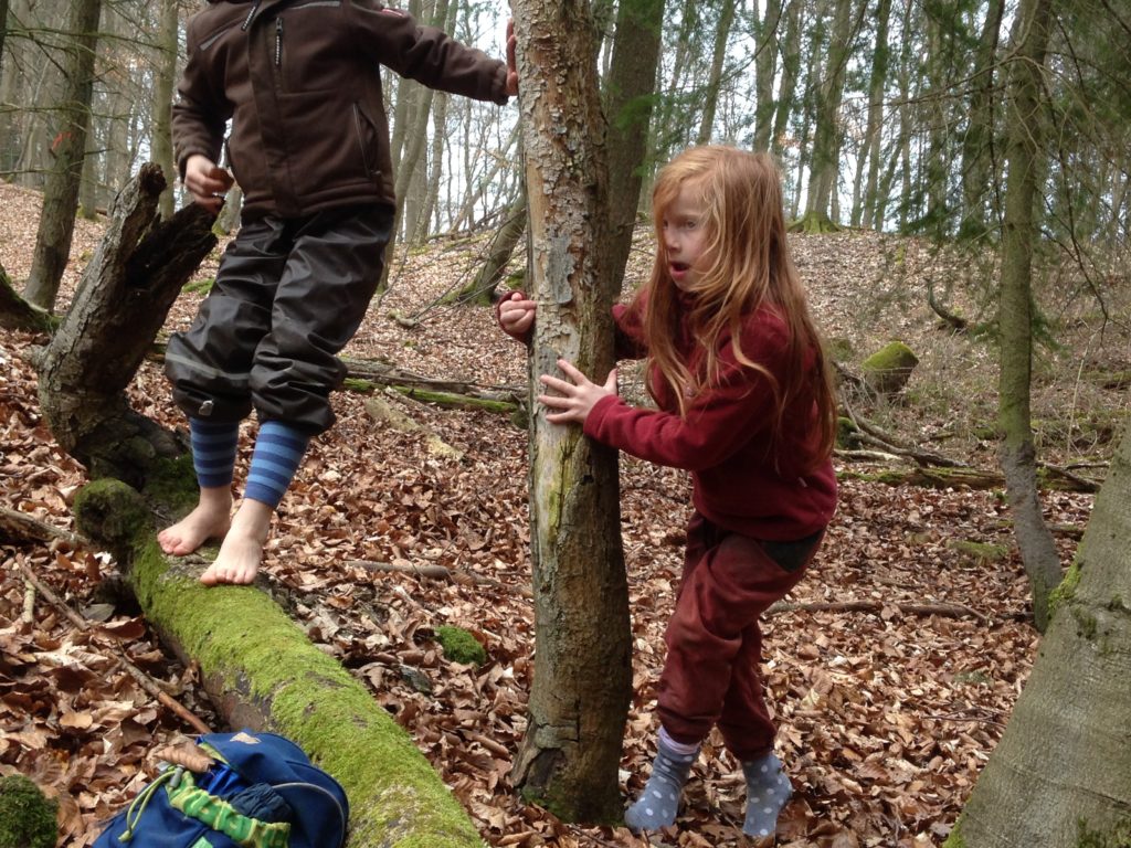 Die uralten Fertigkeiten und das Wildniswissen der Naturvölker machen Mädchen und Jungen ab 6 Jahren im Laufe der Zeit zu echten Waldläufer *innen!

Die Wildniskids treffen sich, um das „wilde Leben“ draußen zu üben und ihre ureigene Naturverbindung zu stärken oder wiederzuerlangen: Feuer machen, Ohren spitzen und in den Wald lauschen....