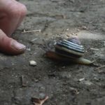 Natur als Lehrmeisterin