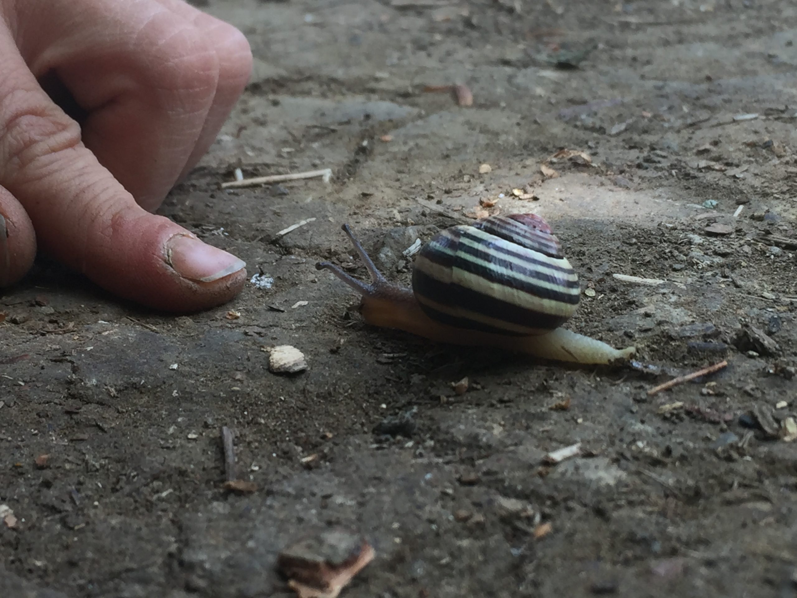 Natur als Lehrmeisterin