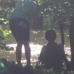 Sommer-Wald-Leben