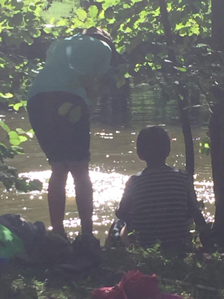 Es ist Sommer! Der Wald spendet uns Schatten und macht die Hitze erträglich. Wie herrlich ist es unter dem grünen Blätterdach zu träumen!
Auf unseren Streifzügen gibt es einiges zu entdecken, denn wir erleben den Wald mit anderen Augen...