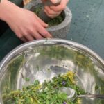 Wildniskids -  im wilden Jahreskreis!