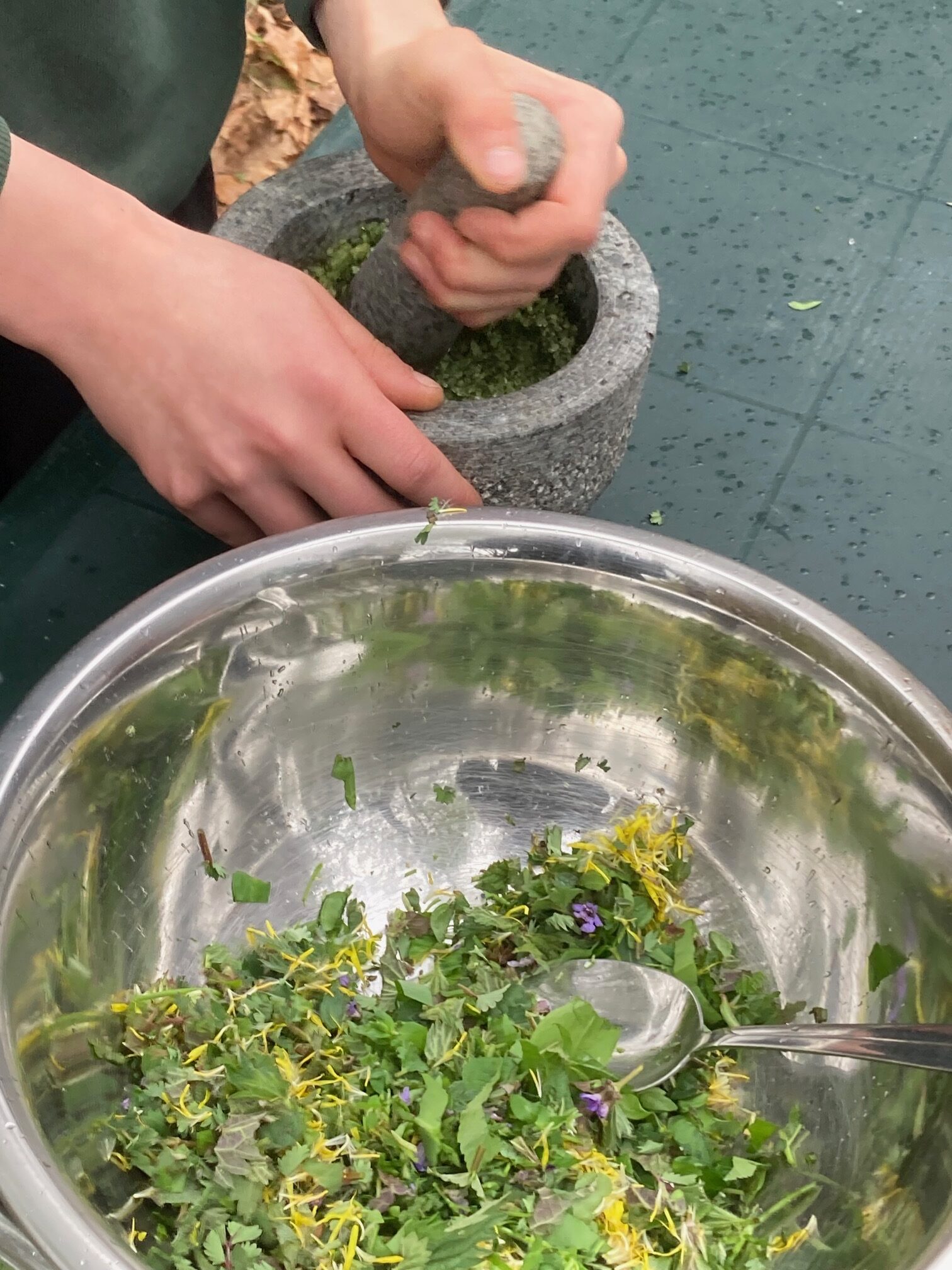 Wildniskids -  im wilden Jahreskreis!