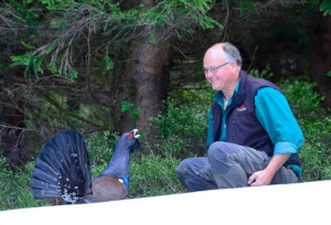 Federlesen & Vogelwissen